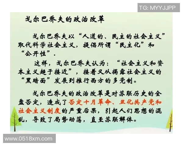 选举制度改革与民主进程:全球视野下的经验与挑战分析